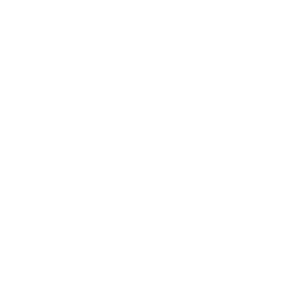 Facebook Icon White