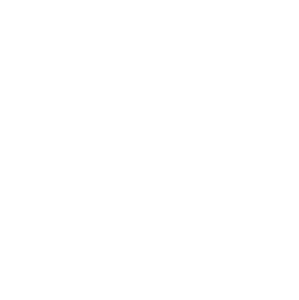 Instagram Icon White